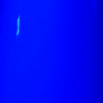 INDUSTRIAL BLUE (45 lb. Box)